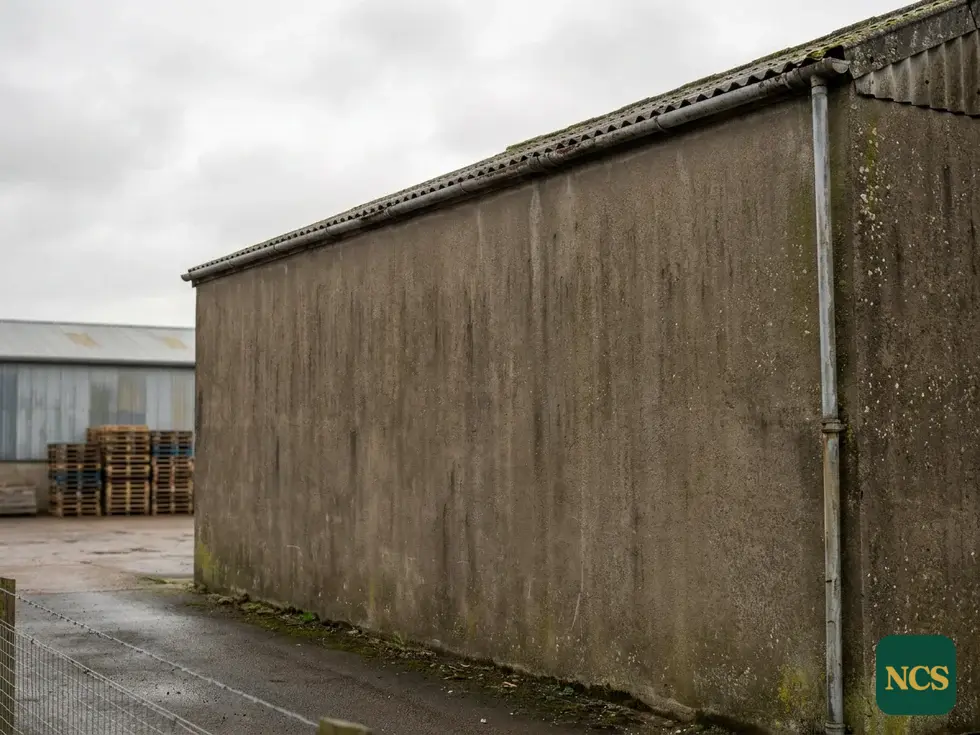 Commercial wall coating survey near Taunton
