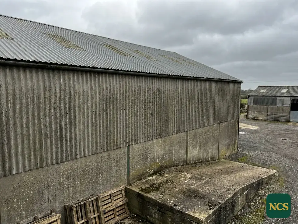 Commercial wall coating survey near Ipswich